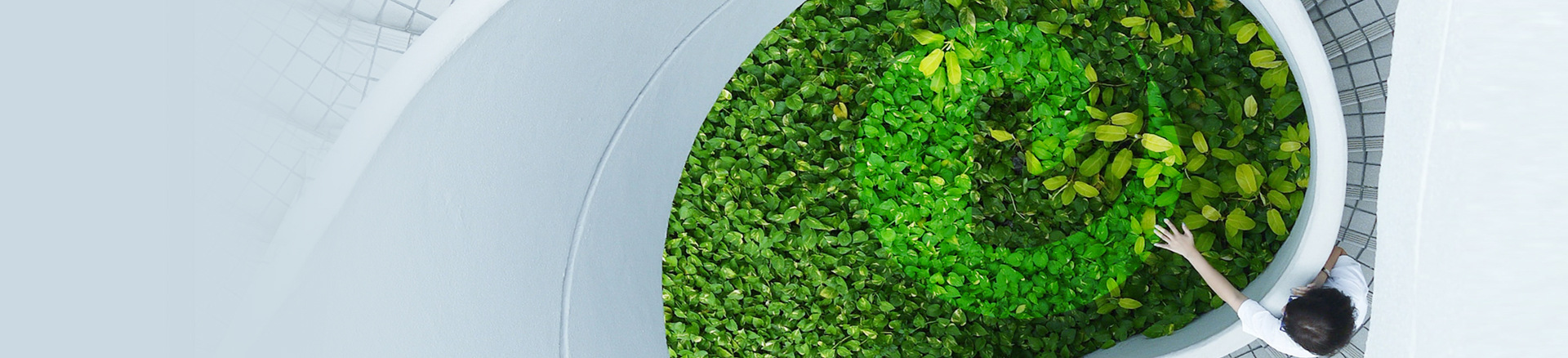 關于(yu)我(wo)們